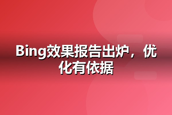 Bing AI Performance报告解读
