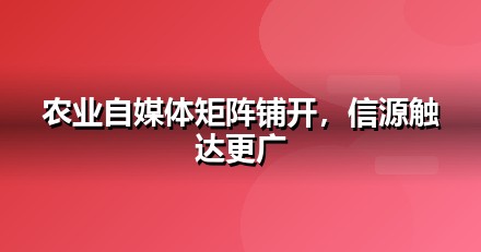 农业种植自媒体矩阵怎么搭：从账号到内容的落地清单